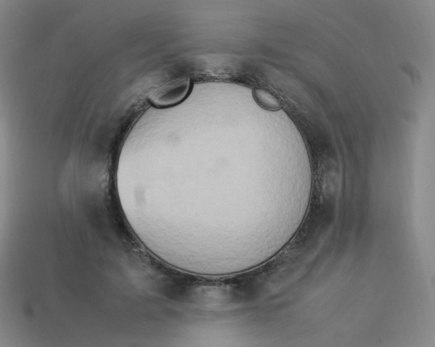 X0000113310595200910131109