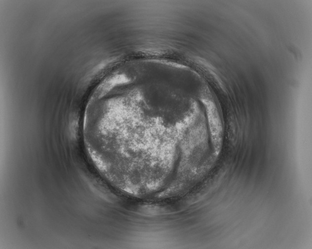 X0000113310596200910131109