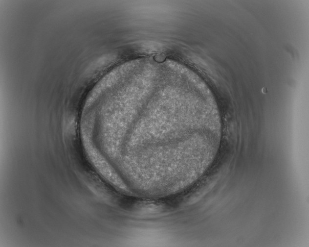 X0000113310597200910131109