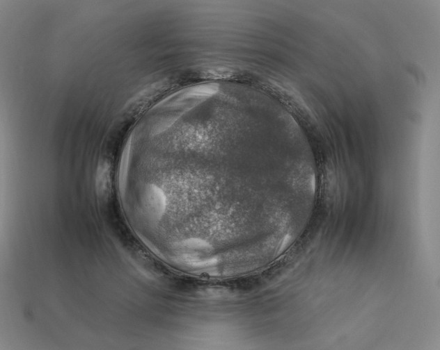 X0000113310598200910131109