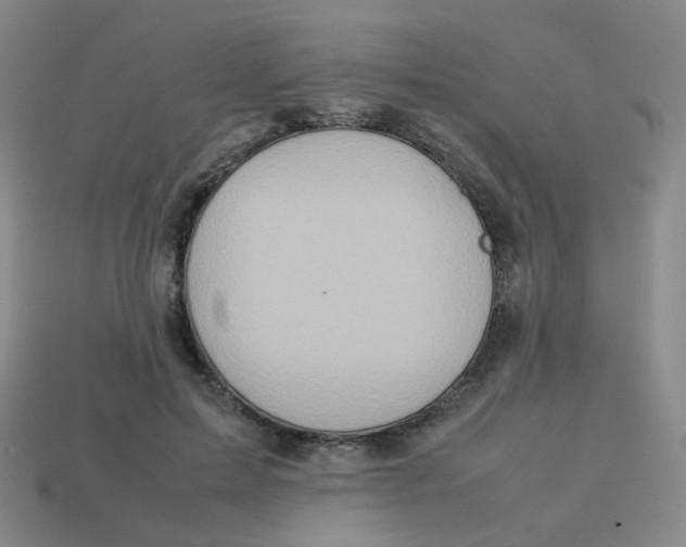 X0000113310599200910131109