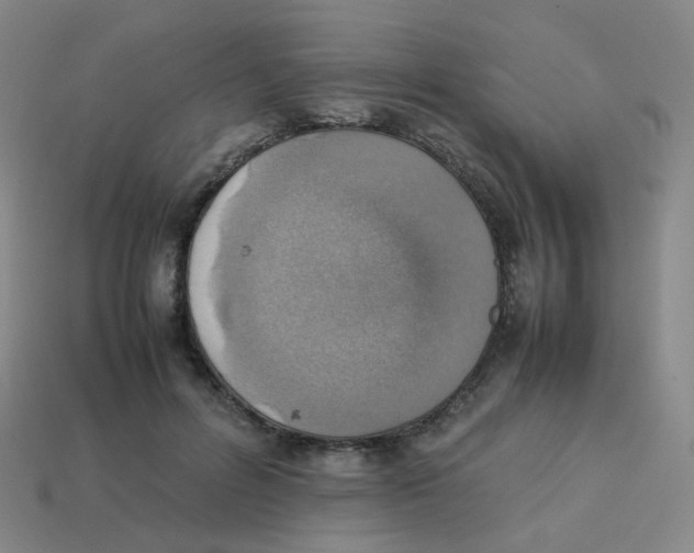 X0000113310600200910131109