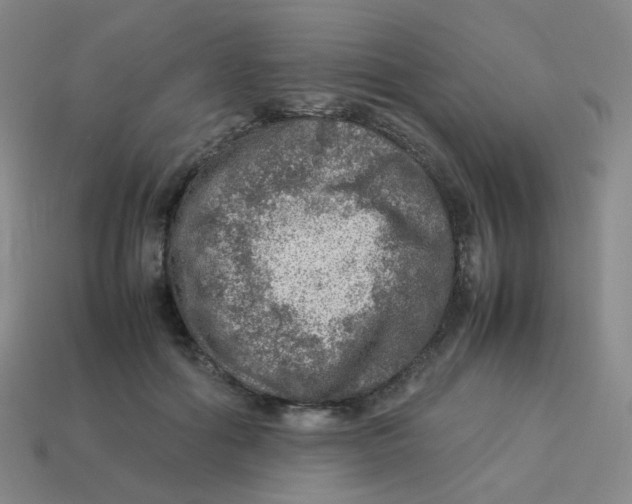 X0000113310602200910131109
