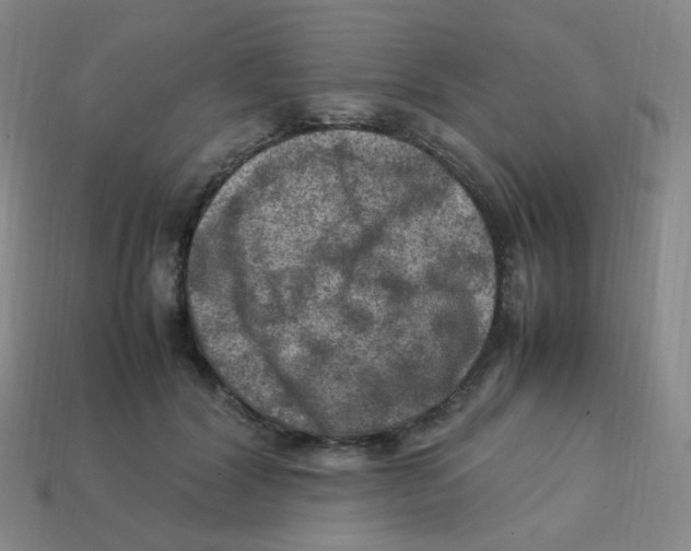 X0000113310604200910131109