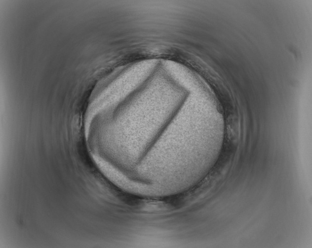X0000113310605200910131109