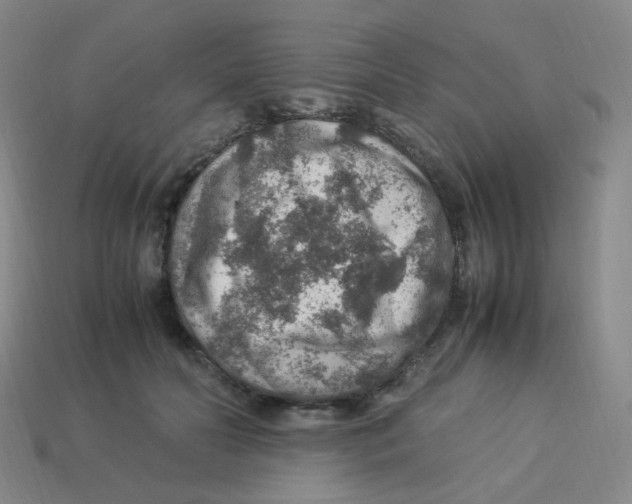 X0000113310606200910131109