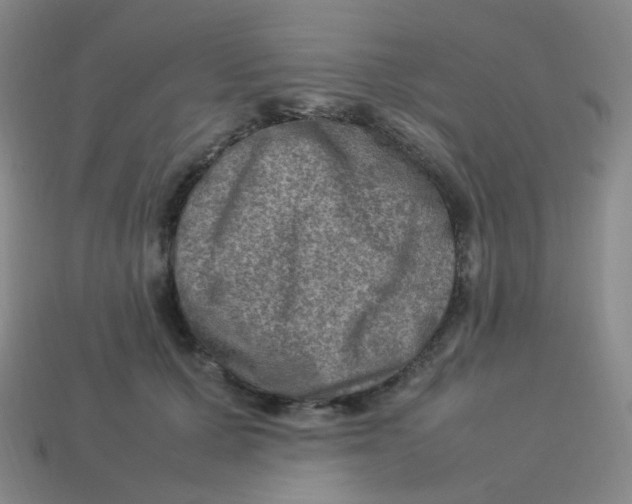 X0000113310607200910131109