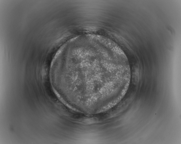 X0000113310608200910131109