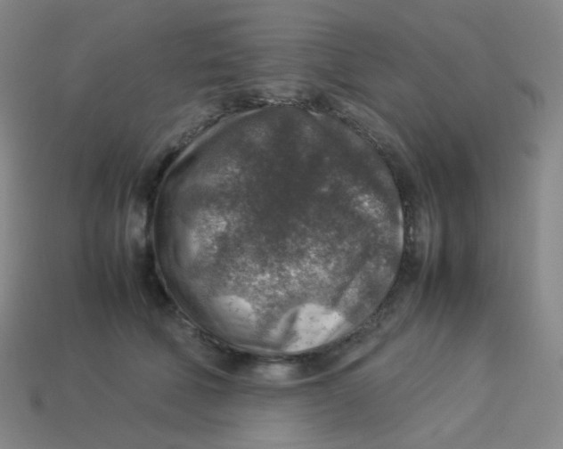 X0000113310610200910131109