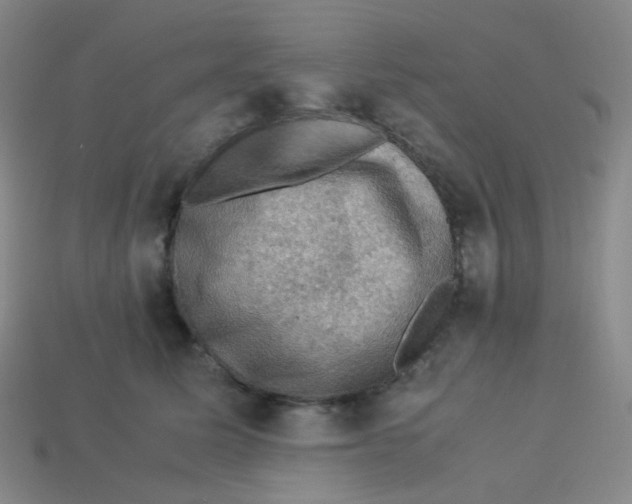 X0000113310611200910131109