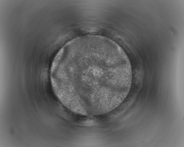 X0000113310612200910131109