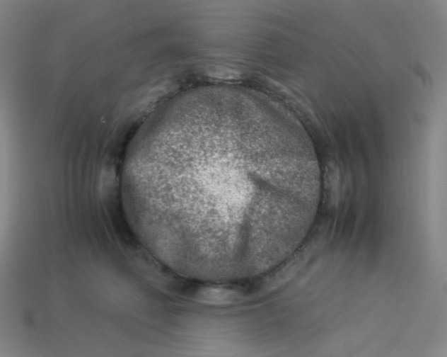 X0000113310614200910131109