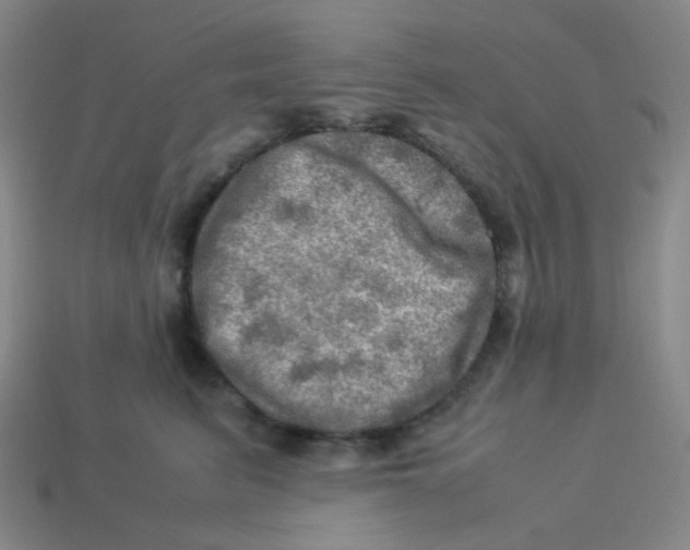 X0000113310615200910131109