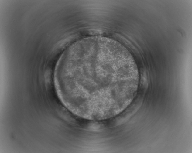 X0000113310616200910131109