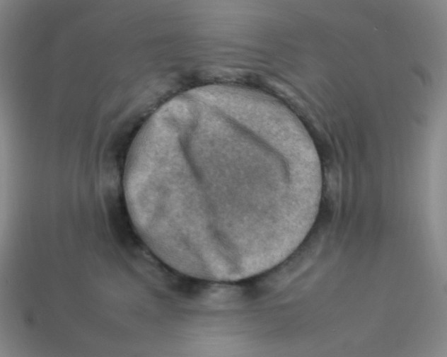 X0000113310617200910131109
