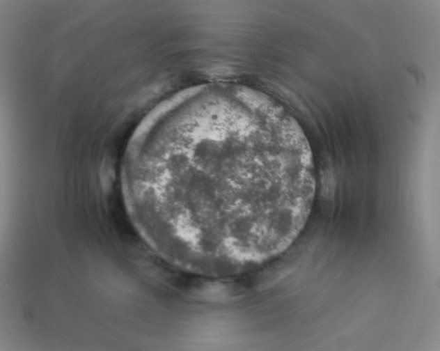 X0000113310618200910131109
