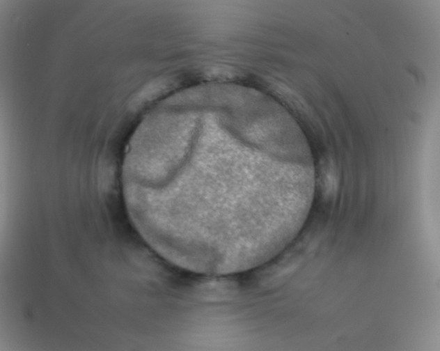X0000113310619200910131109