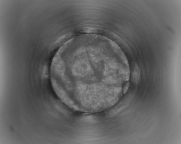 X0000113310620200910131109
