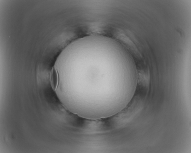 X0000113310621200910131109