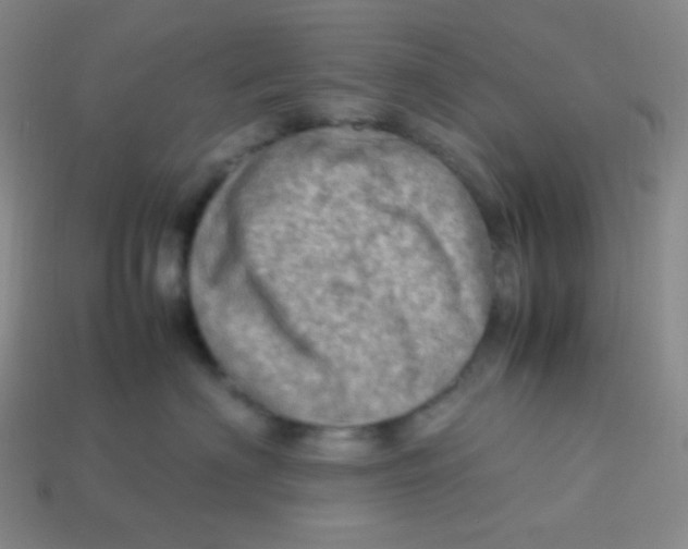 X0000113310622200910131109