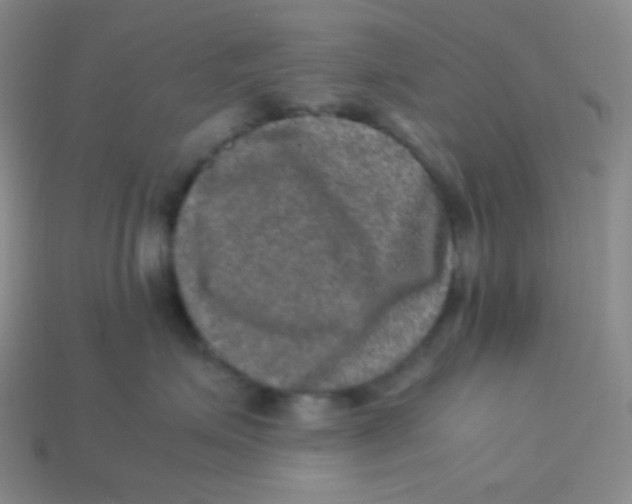 X0000113310623200910131109