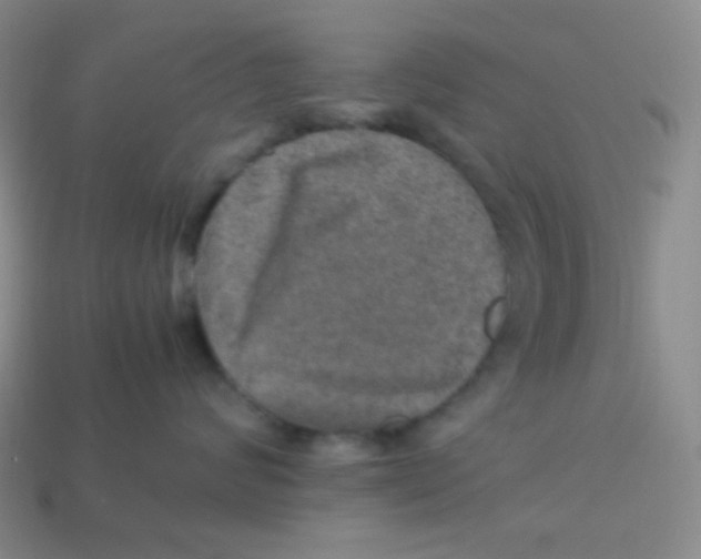 X0000113310624200910131109