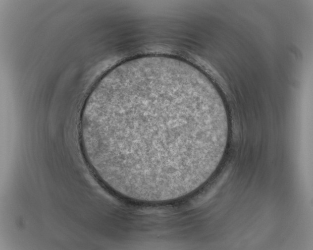 X0000113310625200910131108