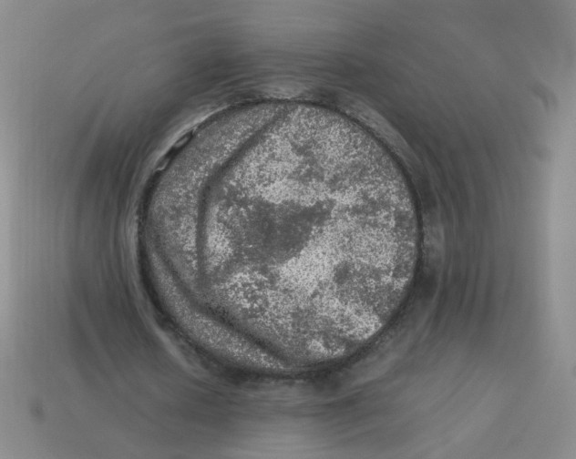 X0000113310626200910131108