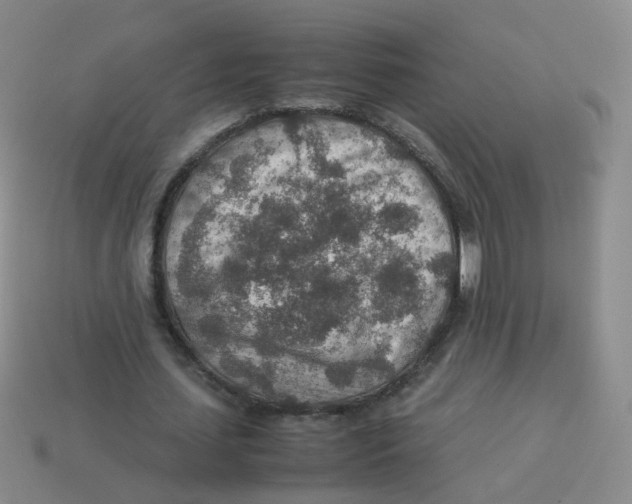 X0000113310627200910131108