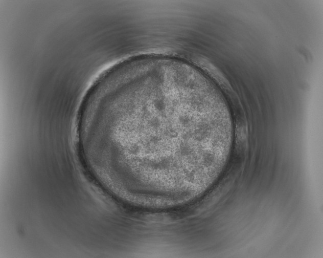 X0000113310628200910131108