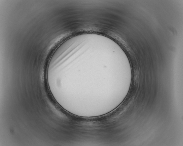 X0000113310629200910131108