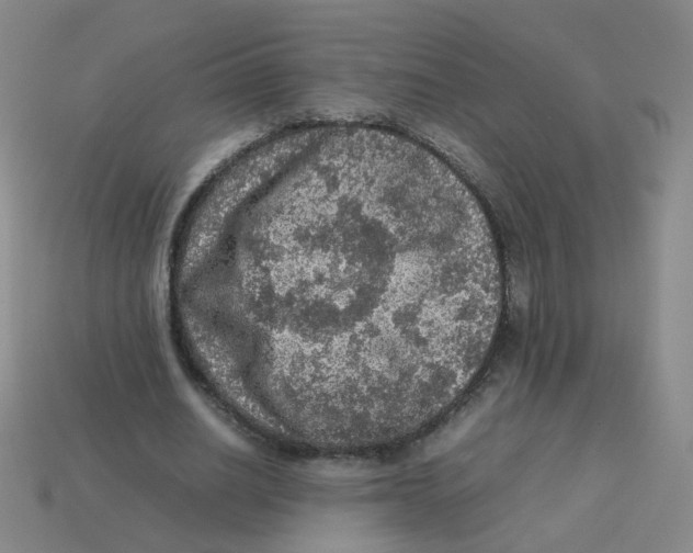 X0000113310630200910131108