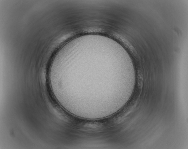 X0000113310631200910131108