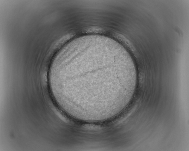 X0000113310633200910131108