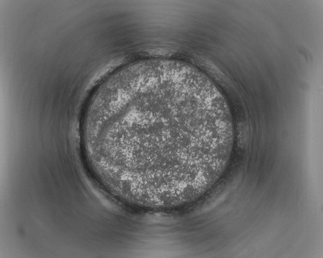 X0000113310634200910131108