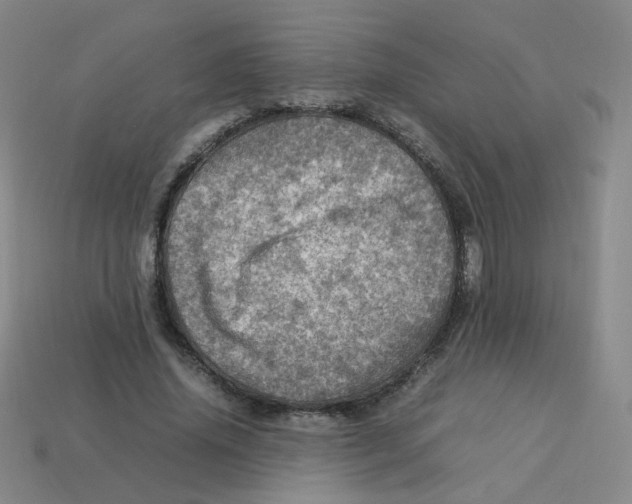 X0000113310636200910131108