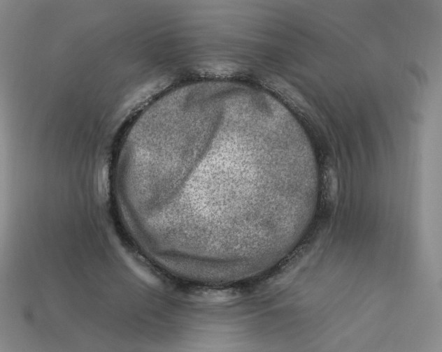 X0000113310638200910131108