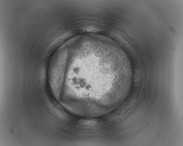 X0000113310639200910131108