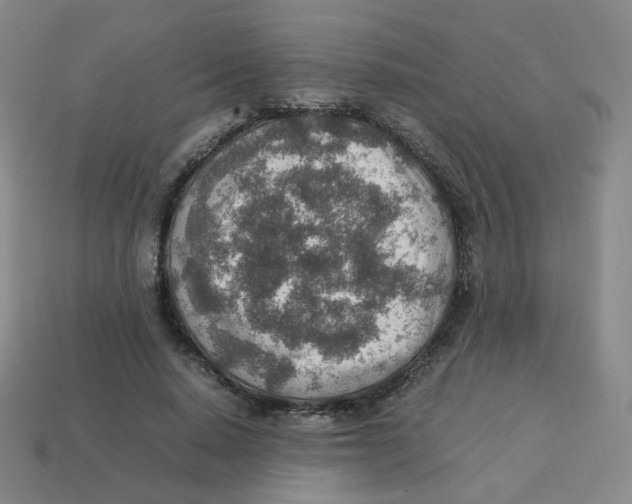 X0000113310640200910131108