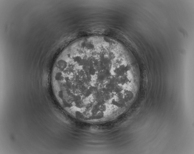X0000113310641200910131108