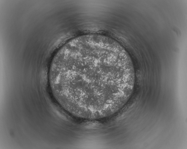 X0000113310642200910131108