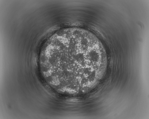 X0000113310643200910131108