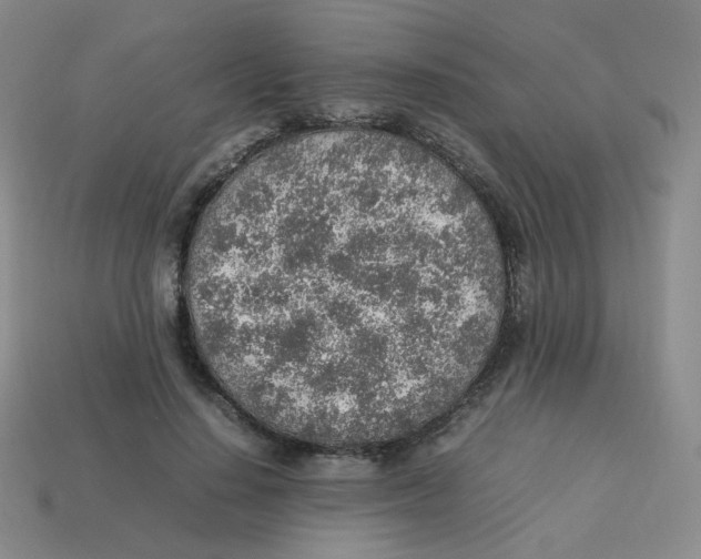 X0000113310644200910131108