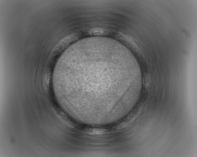 X0000113310645200910131108