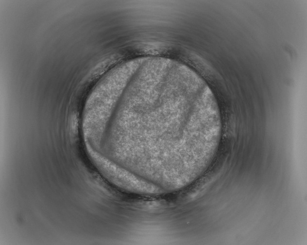 X0000113310646200910131108
