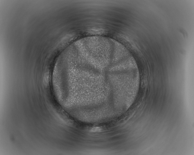 X0000113310647200910131108