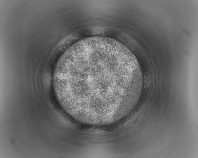 X0000113310648200910131108