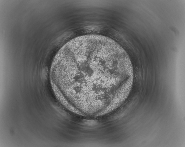 X0000113310649200910131108