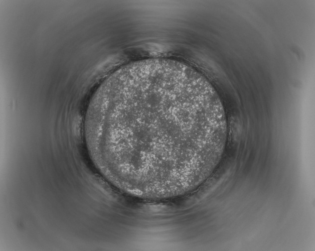 X0000113310650200910131108