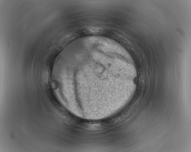 X0000113310651200910131108